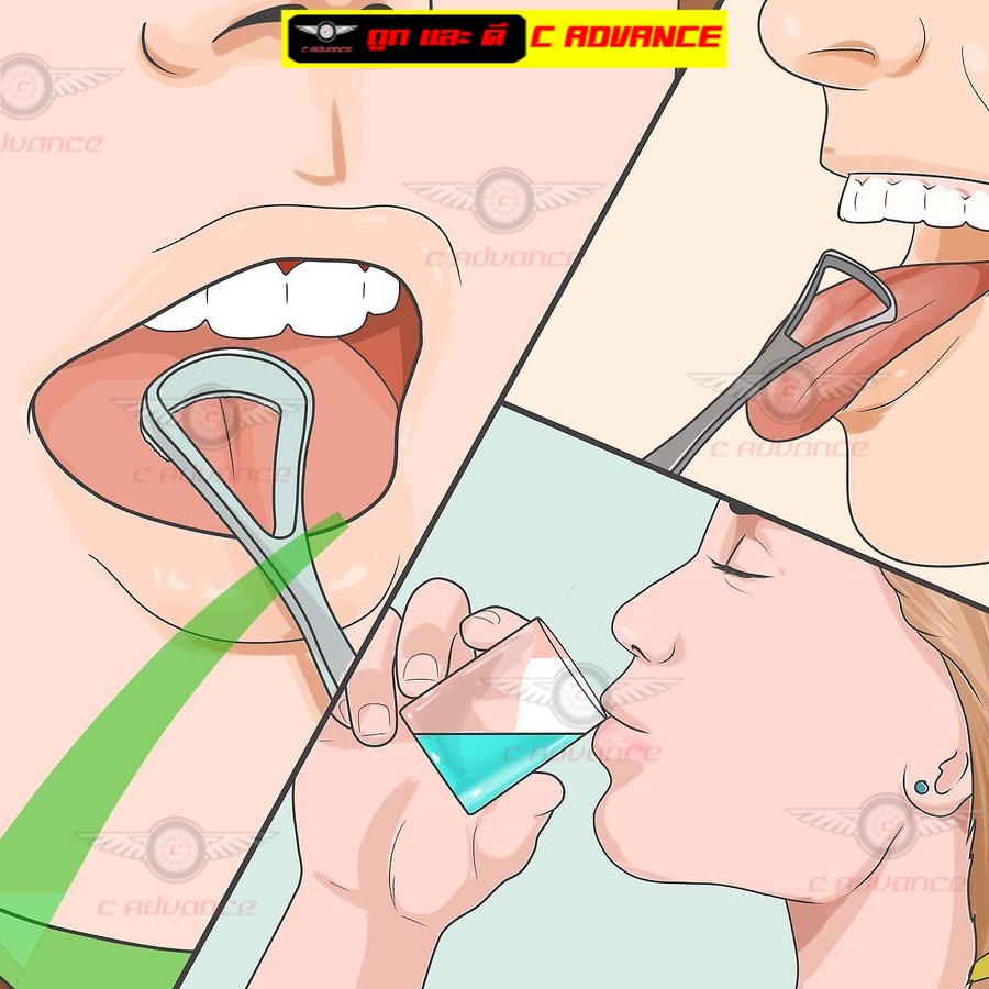 แปรงขูดลิ้น-1แพ๊ค2ชิ้น-อุปกรณ์ทำความสะอาดลิ้น-tongue-cleaner-คละสี-ที่ขูดลิ้น-ที่กวาดลิ้น-ที่ขูดลิ้นเด็ก-บอกลา-กลิ่นปาก