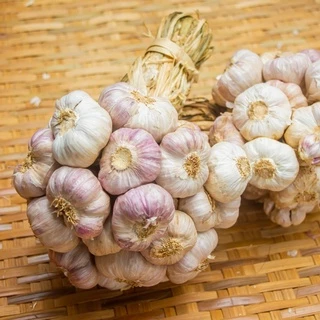 กระเทียมไทยกลีบม่วง ศรีสะเกษ 500 กรัม ครึ่งกิโลกรัม คัดพิเศษThai Garlic : 500 g photo