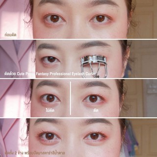 ภาพขนาดย่อของภาพหน้าปกสินค้า️ DAYSE x CUTE PRESS: Professional Eyelash Curler 73686 : cutepress คิวเพรส ที่ดัดขนตา x 1 ชิ้น จากร้าน dayse บน Shopee ภาพที่ 2