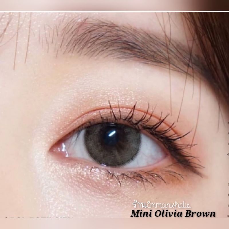 mini-olivia-brown-ขนาด14-2-สายตา-50ถึง-650-คอนแทคเลนส์-คิตตี้-คาวาอิ