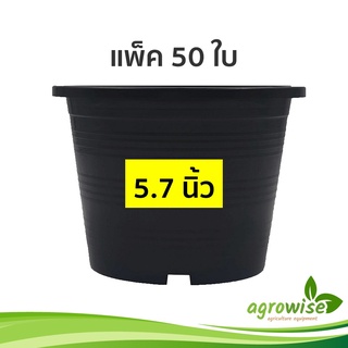 🌵 กระถางต้นไม้พลาสติก กระถางต้นไม้ กระถาง สีดำ 5 นิ้ว 5.5 นิ้ว 5.7 นิ้ว ราคาส่ง 50 ใบ LIVE1