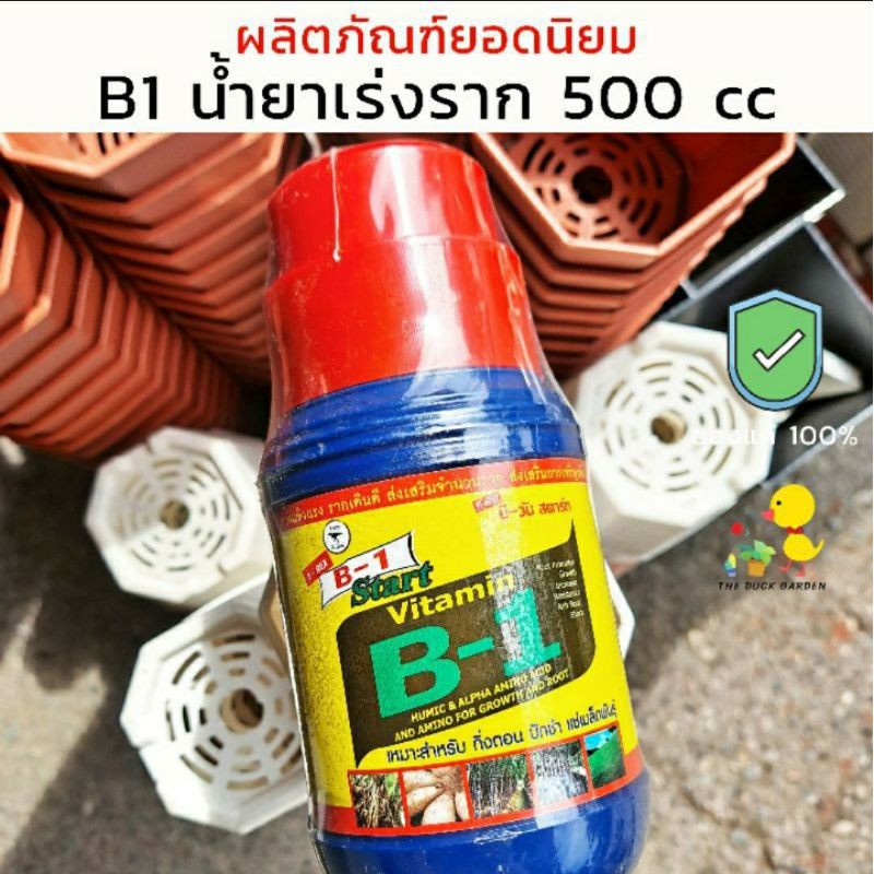 น้ำยาเร่งราก-start-b1-t-rex-เปลี่ยนฉลากใหม่แต่สูตรเดิม