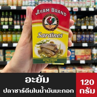 Ayam อะยัม ซาร์ดีน ในน้ำมันมะกอก 120 กรัม (0293) สีเขียว Sardines Extra Virgin Olive Oil