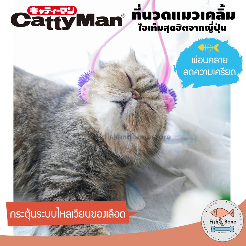 ของแท้-cattyman-ที่นวดแมว-สุดฮิตจากญี่ปุ่น-เครื่องนวดแมว-ของเล่นแมว