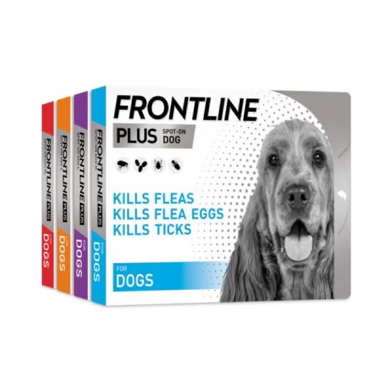 frontline-plus-หมา-แมว