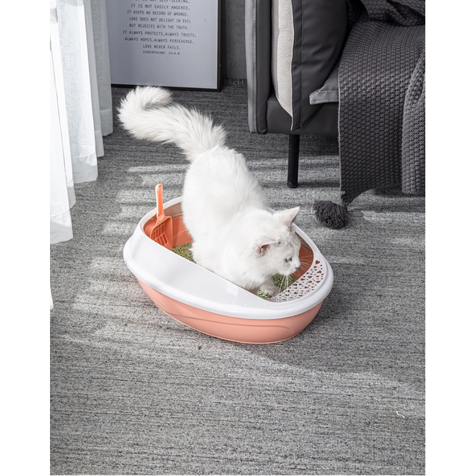 Cat Little Box กระบะทรายแมว ทรงเหลี่ยม ขอบสูงกันทรายกระเด็น แถมฟรี! ที่ ...