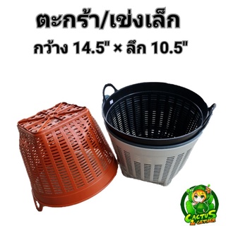 เข่งพลาสติกหนา(เข่ง#6) มินิมอล ตะกร้าปลูกต้นไม้
