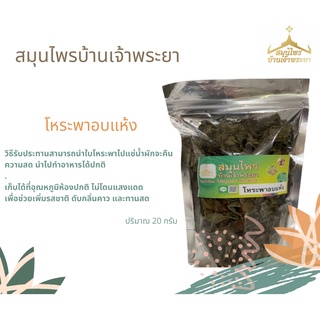 โหระพาอบแห้ง Dried Thai Sweet Basil ปริมาณ 20 กรัม คืนความสดได้โดยการแช่น้ำ