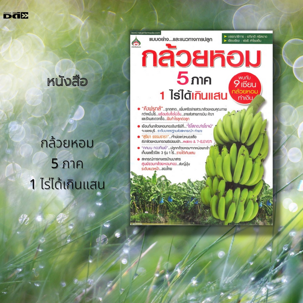 หนังสือ-กล้วยหอม-5-ภาค-1-ไร่ได้เกินแสน-วิธีการปลูกเลี้ยงและการดูแลกล้วย-เส้นทางการตลาดทั้งในประเทศและต่างประเทศ