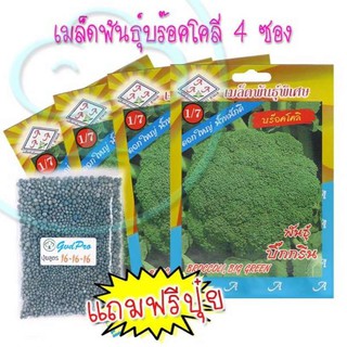 เมล็ดพันธุ์บร๊อคโคลี่ 4ซอง แถมปุ๋ยฟรี