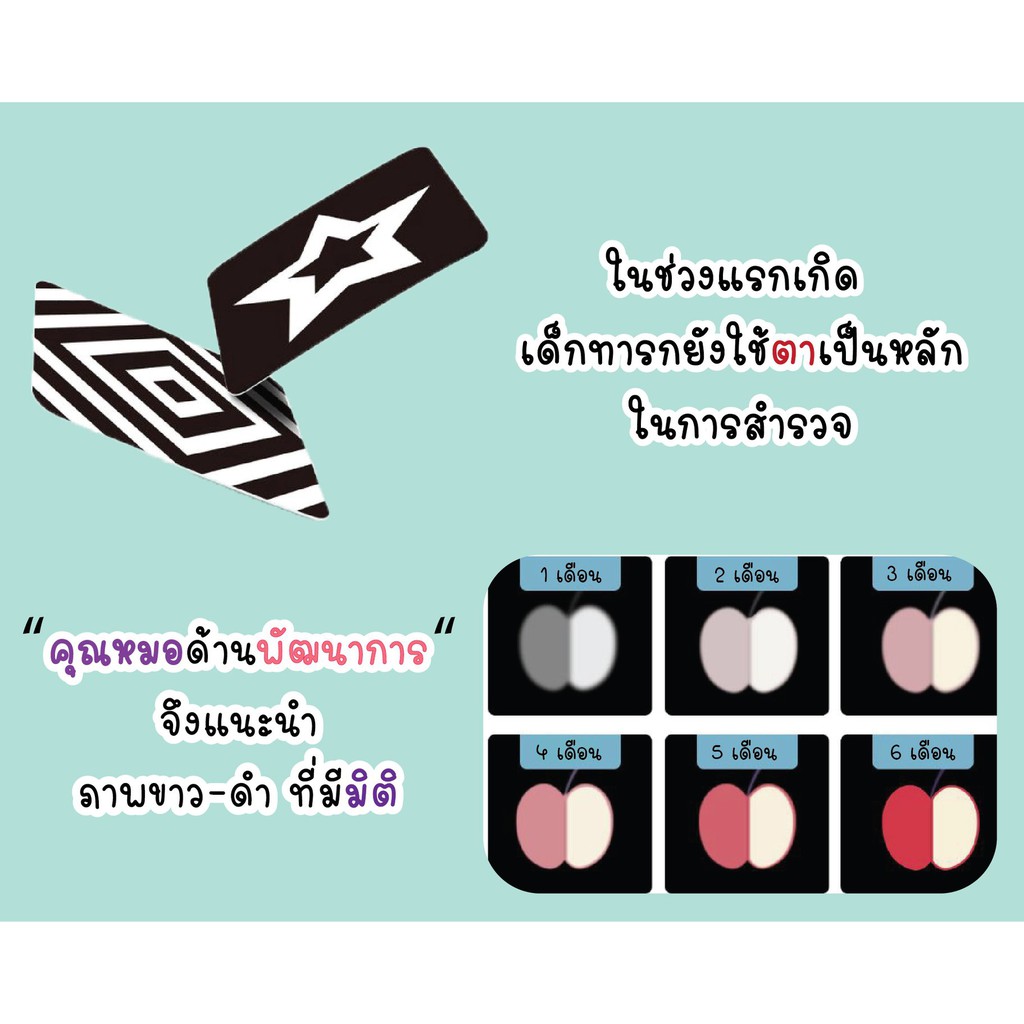 flash-card-บัตรภาพเสริมสร้างพัฒนาการทางด้านสมองและการมองเห็น