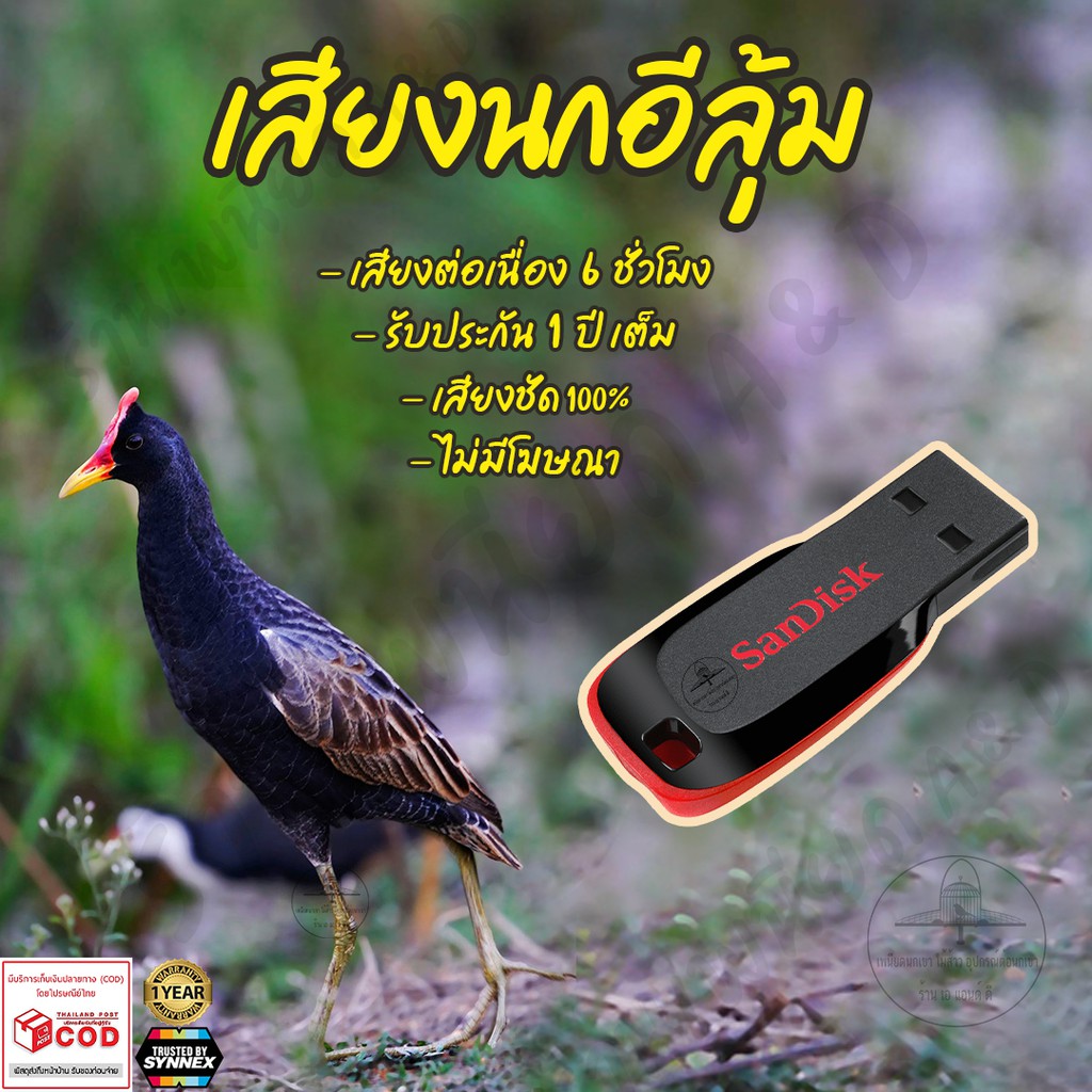 เสียงต่อ-นกอีลุ้ม-ยาว6ชั่วโมง-ไม่มีโฆษณา-แฟลชไดร์ฟ-flash-drive-มีเก็บเงินปลายทาง