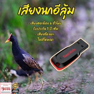 เสียงต่อ นกอีลุ้ม ยาว6ชั่วโมง ไม่มีโฆษณา แฟลชไดร์ฟ(Flash Drive) มีเก็บเงินปลายทาง