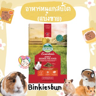 🐹 Oxbow Adult Guinea Pig อาหารเม็ดสำหรับแกสบี้โตอายุเกิน 6 เดือน (แบ่งขาย)