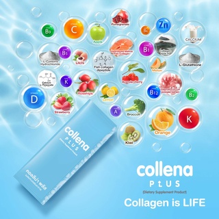 ภาพขนาดย่อของภาพหน้าปกสินค้าคอลลีน่า พลัส คอลลาเจน ผิวขาว กระดูก ไดเปปไทด์ Collagen Type 2 dipeptide Collena Plus Exclusiva โปรโมชั่น ซื้อ 3 ฟรี 4 จากร้าน exclusiva บน Shopee ภาพที่ 2