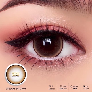 WinkWow Dream Chestnut Brown บิ๊กอาย คอนแทคเลนส์ Contact lens ค่าสายตา สายตาสั้น ตาโต โทนหวาน แบ๊ว สีน้ำตาล Wink wow