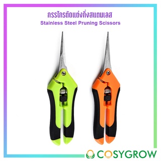 กรรไกรตัดแต่งกิ่ง ปลายแหลม สแตนเลส กรรไกรทริม Stainless steel pruning Scissors