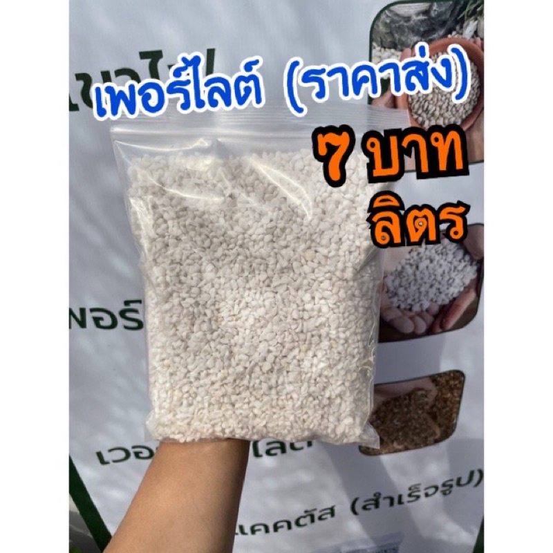 ภาพหน้าปกสินค้าPerlite เพอร์ไลท์  3-6 m (มีราคาส่ง) จากร้าน cactus.summerhouse บน Shopee