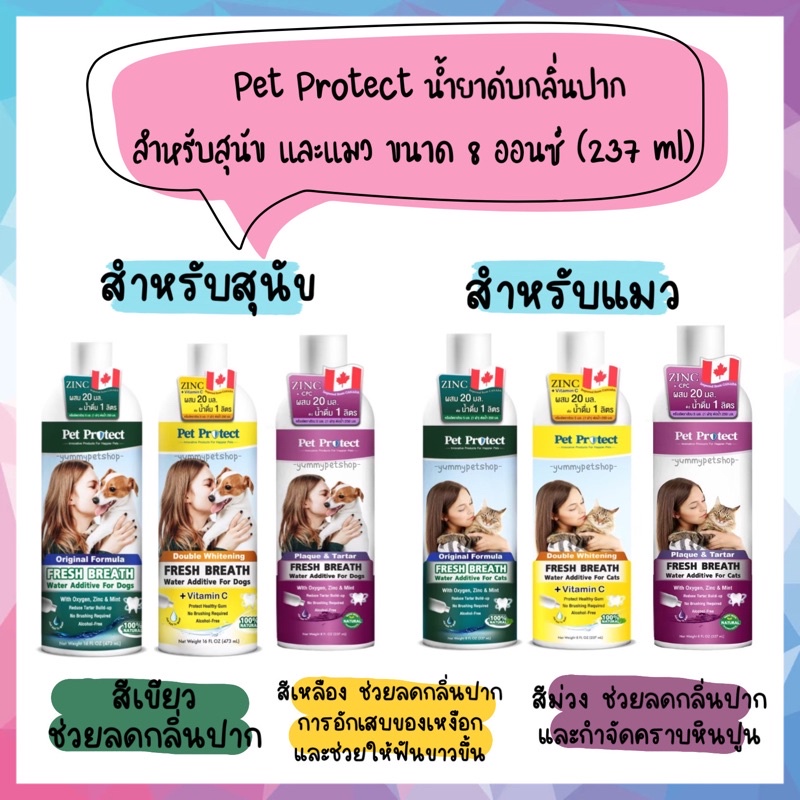 ภาพหน้าปกสินค้าPet Protect น้ำยาดับกลิ่นปาก สำหรับสุนัข และแมว ช่วยลดกลิ่นปาก และลดการสะสมของแบคทีเรีย ขนาด 8 ออนซ์ (237 ml) จากร้าน yummypetshop บน Shopee