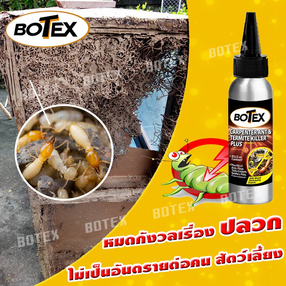 ฆ่าปลวก-ผงกำจัดปลวก-botex-ผลิตภัณฑ์กำจัดปลวก-ยากำจัดปลวก-ฆ่าปลวกยกรัง-ไม่อันตรายต่อคนในบ้าน-ขนาด-1-ขวด