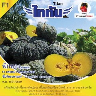 เมล็ดพันธุ์ ฟักทอง ไททัน บรรจุ 2 กรัม