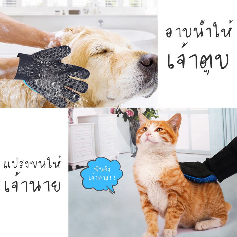 ภาพสินค้าที่แปรงขนแมว ถุงมือลูบขนแมว ถุงมือแปรงขนสัตว์ ถุงมืออาบน้ำหมา แปรงขนแมว จากร้าน richyflowery บน Shopee ภาพที่ 3