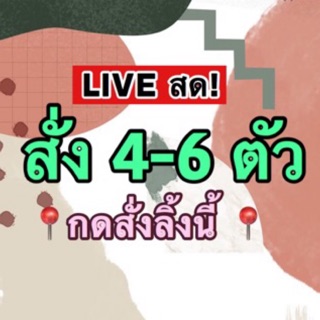 🌷สินค้าแฟชั่น2020🌷  เฉพาะ live สด!