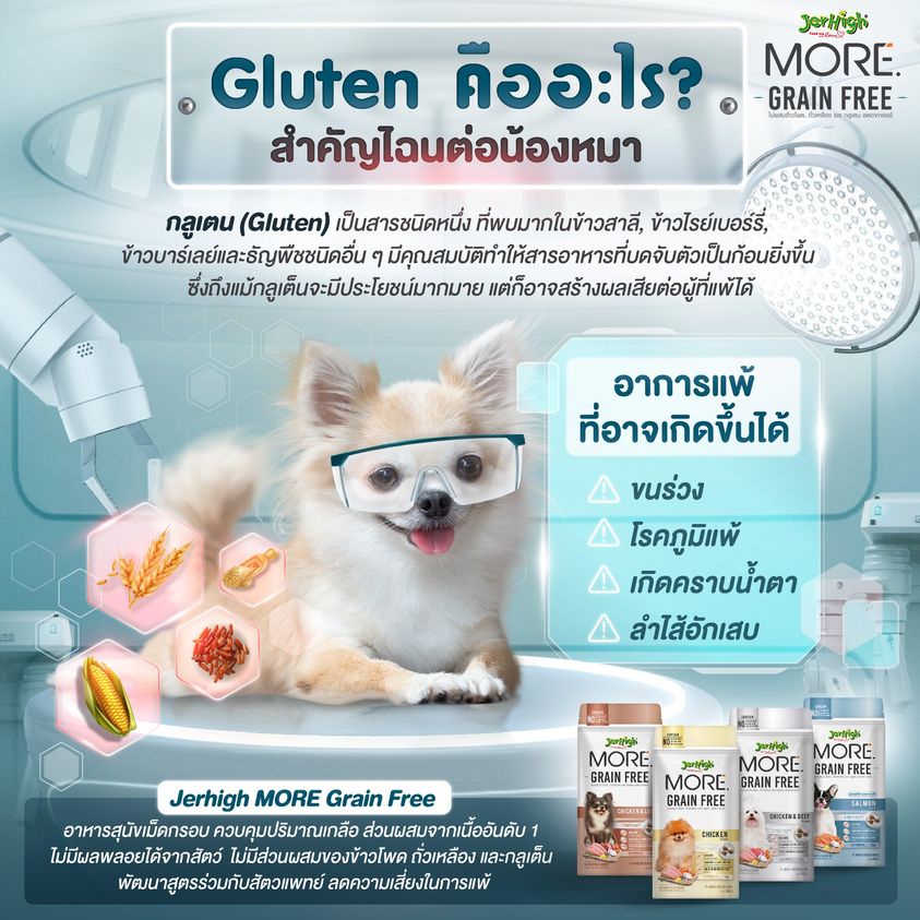 jerhigh-more-grain-free-อาหารสุนัขเม็ดกรอบเจอร์ไฮ-สำหรับสุนัขทานยาก-สุนัขแพ้ง่าย-สูตรเกรนฟรี-ขนาด-500-กรัม