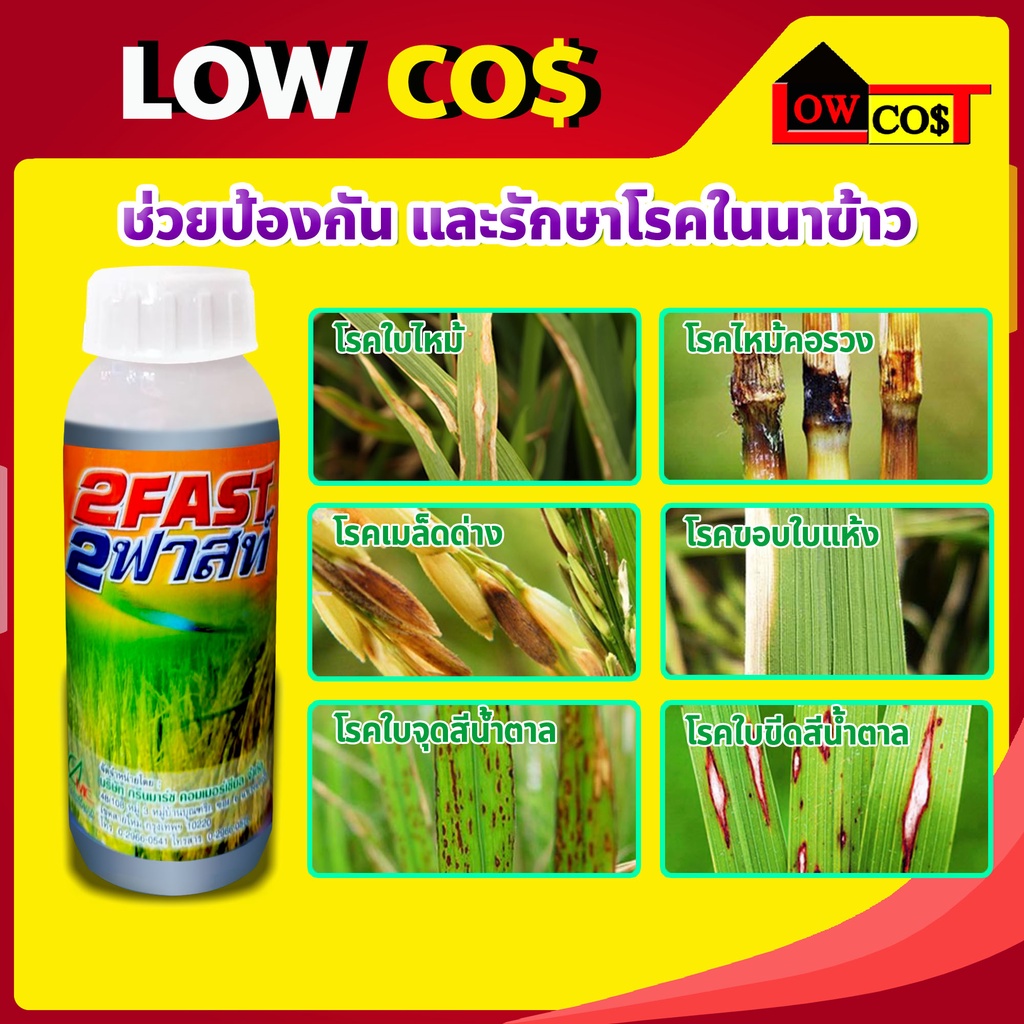 2-fast-2-ฟาสท์-เอ็มไซน์ช่วยป้องกันและรักษาโรคในนาข้าว-โรคใบไหม้-โรคเมล็ดด่าง-โรคใบจุดสีน้ำตาล-ฯลฯ-ขนาด-500-ซีซี