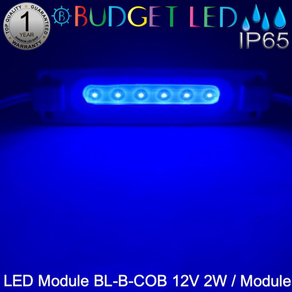LED Module BL-B-COB DC-12V 2W/Module 40W/Panel แอลอีดีโมดูลกันน้ำ IP65 ...