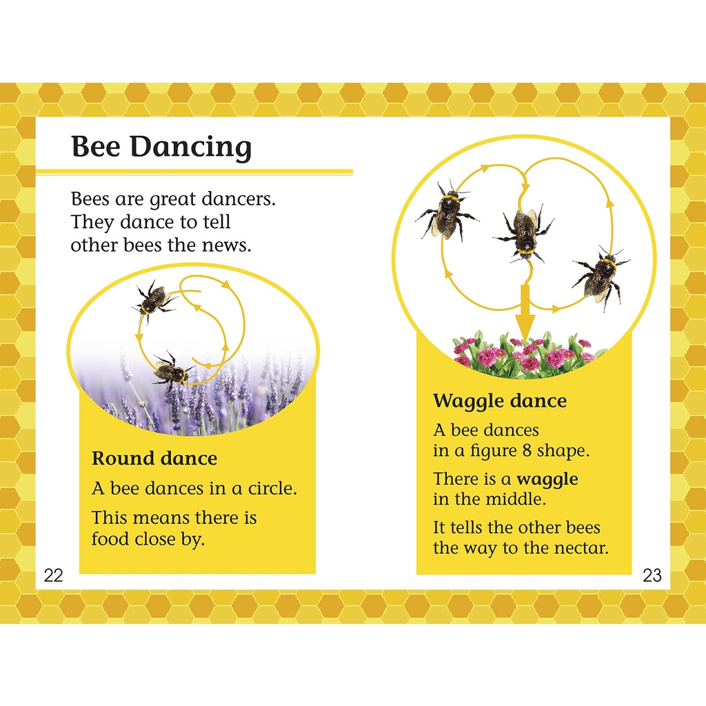 dktoday-หนังสือ-dk-readers-2-amazing-bees-hb