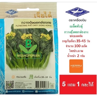 5 ฟรี 1 คละได้ เมล็ดพันธุ์ กวางตุ้งดอกฮ่องกง ตรา  เจียไต๋  เมล็ดพันธุ์ผัก เมล็ดผัก  เมล็ดพืช เมล็ดพันธุ์พืช