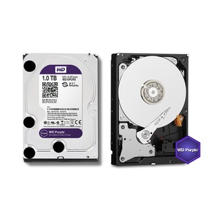 WD HD 1 TB Purple หน่วยความจำ ฮาร์ดดิส 1 TB สีม่วง WD10PURZ SATA 6Gb/s ...