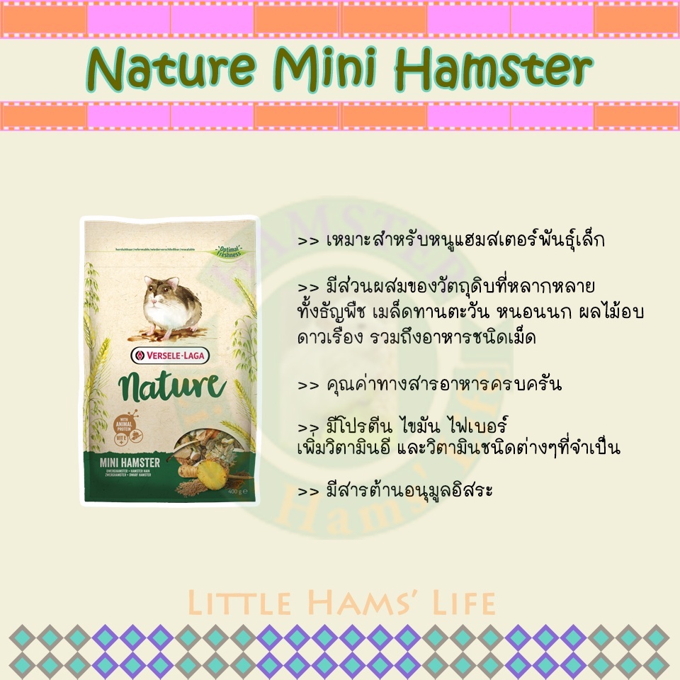 1-แถม-1-nature-mini-hamster-เนเจอร์มินิแฮมสเตอร์-อาหารแฮมสเตอร์แคระ-ปริมาณ-400-กรัม