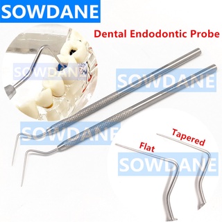 Dental Stainless Steel Endodontic Probe Explorer Flat/Tapered Instrument Tool Oral Care Teeth Whitening