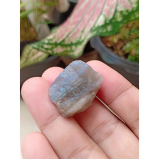 Labradorite | ลาบราโดไรต์ 🔮🧙 #LBs1#หินดิบ "หินพ่อมด" เล่นแสงเหลือบน้ำเงิน 💙 หินธรรมชาติ หินสะสม ขนาด 2.2×1.8×1.2 cm