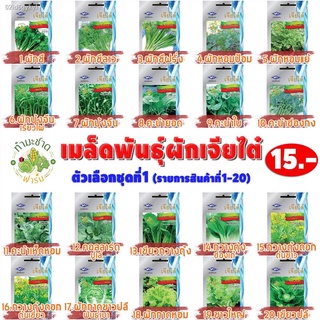 [10แถม2] เจียไต๋ เมล็ดพันธุ์ แตงท่อน Cucumber ประมาณ 64 เมล็ด  ตราเจียไต๋ เมล็ดพันธุ์ผัก เมล็ดผัก เมล็ดพืช ผักสวนครัว ปล