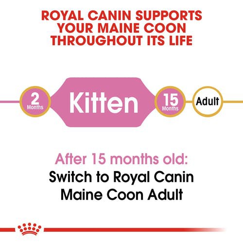 แบ่งขาย-royal-canin-maine-coon-kitten-1-กิโลกรัม-แมว-เมนคูน-เด็ก