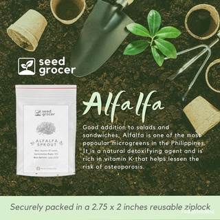 Plantable/Alfalfa Microgreen Sprout Seeds-High Quality Vegetable Seeds BHCNพาสต้า/กุหลาบ/กระโปรง/เด็ก/เสื้อ/คื่นฉ่าย/มะล