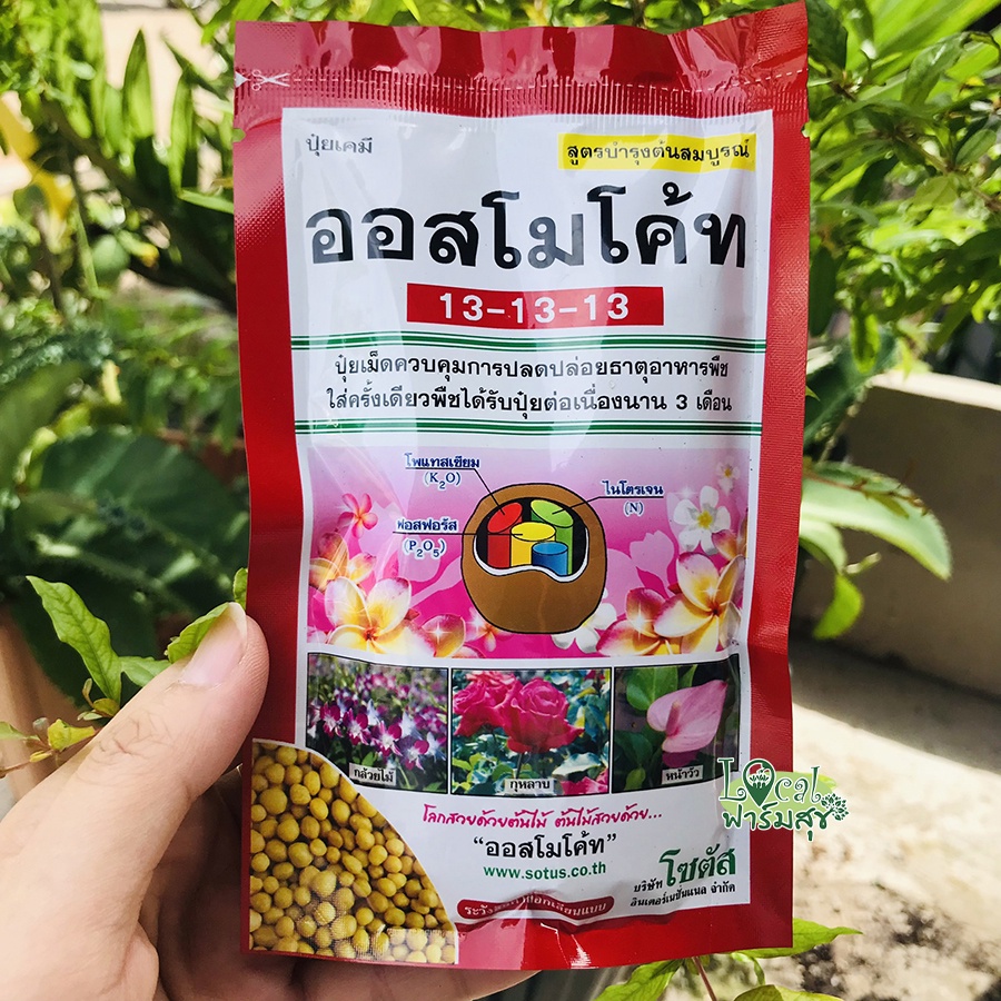 ปุ๋ยบำรุงและกันแมลง-ออสโมโค้ท-osmocote-สตาร์เกิลจี-starkle-g-100-กรัม-ใช้ได้กับต้นไม้ทุกชนิด