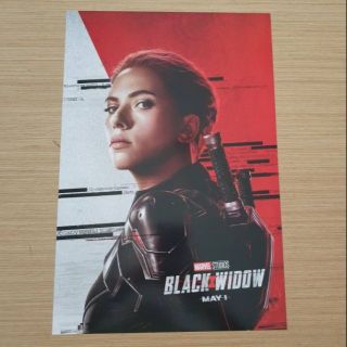 Poster Marvel Black widow นาตาชา โรมานอฟ