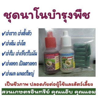 นาโนบำรุงพืช ชุด 400ลิตร อาหารเสริมพืช...ปุ๋ยทางใบ+ฮอร์โมน+สารจับใบ เร่งต้น เร่งโต เร่งเขียว เปิดตาดอก ผลดก ชุด(7-14ไร่)