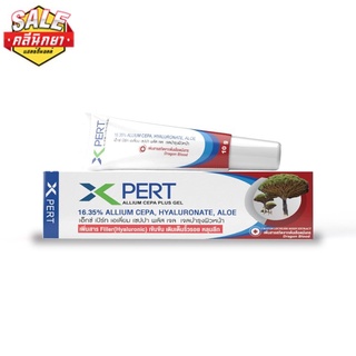 X Pert Allium Cepa Plus Gel เติมเต็มริ้วรอย หลุมลึก สารสกัดจากต้นเลือดมังกร 10 g.