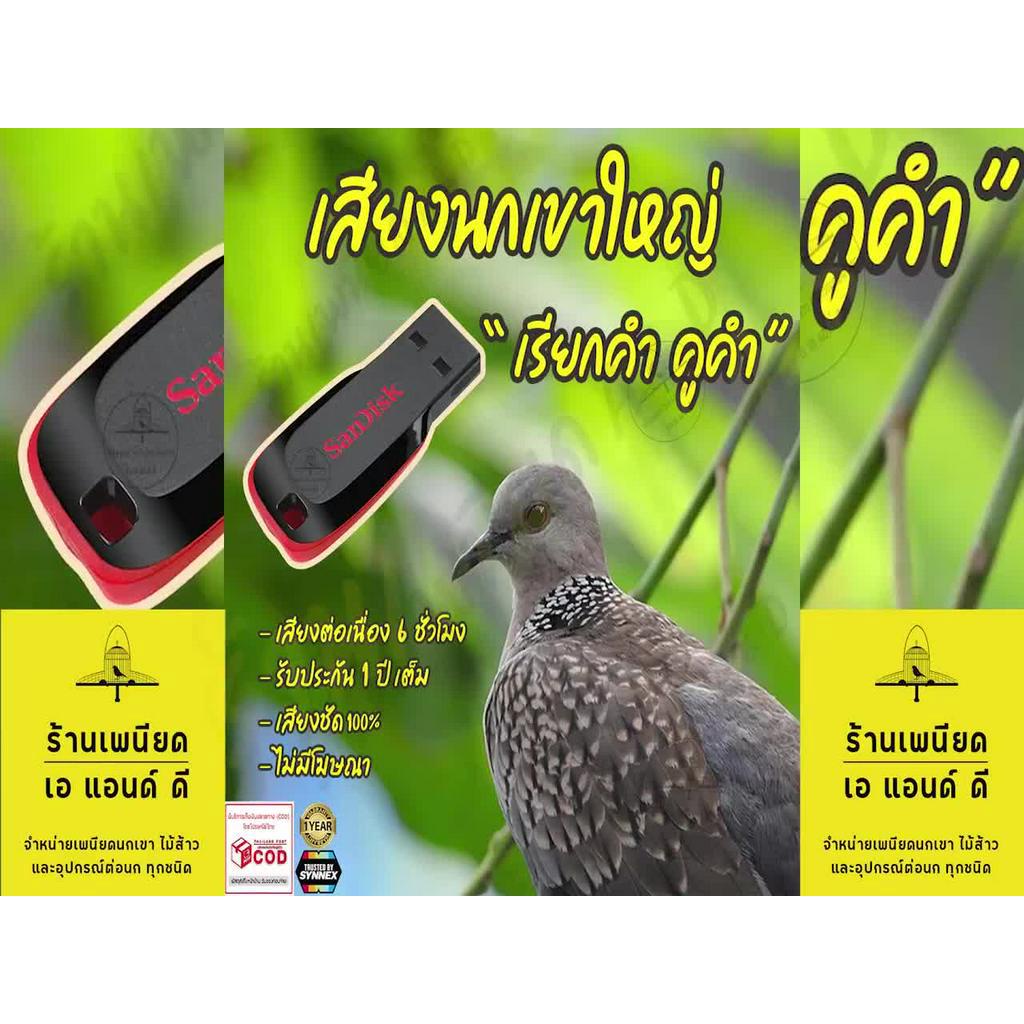 เสียงต่อ-นกเขาใหญ่-เรียกคำคูคำ-ยาว6ชั่วโมง-ไม่มีโฆษณา-แฟลชไดร์ฟ-flash-drive-มีเก็บเงินปลายทาง