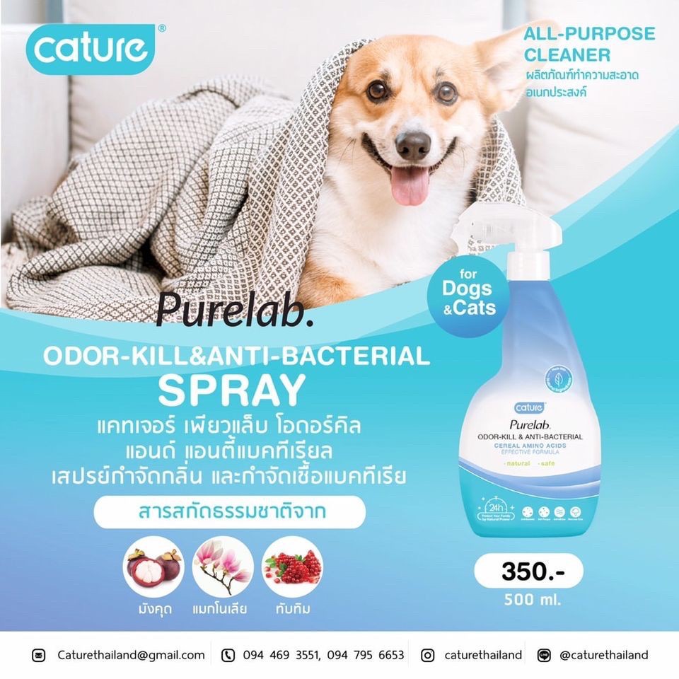 ภาพหน้าปกสินค้าCature Purelab สเปรย์กำจัดกลิ่นและกำจัดเชื้อแบคทีเรีย สำหรับสัตว์เลี้ยง 470 ml. จากร้าน lyulun บน Shopee