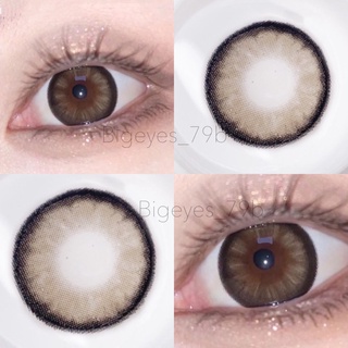 ✨Brown ขนาดตาโต (Bigeyes) ☀️กรองแสง uv ✔️จดทะเบียนถูกต้อง 🇰🇷คอนแทคเลนส์สัญชาติเกาหลี🇰🇷