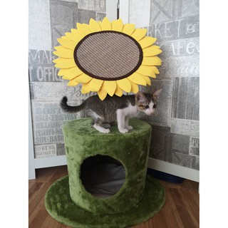 *ของเล่น ที่ข่วนดอกทานตะวัน🌻🌻🌻 🐱🐱🐱ขนาด 55x77 cm🐱🐱🐱