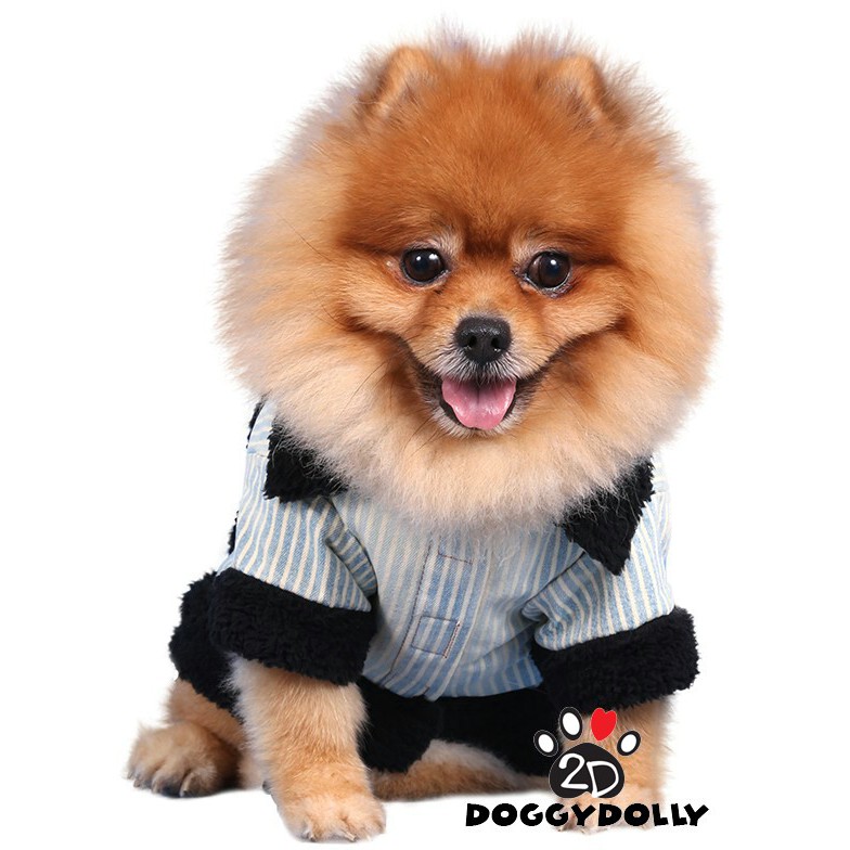 pet-cloths-doggydolly-เสื้อผ้าแฟชั่น-สัตว์เลี้ยง-ชุดหมาแมว-ชุดเสื้อกันหนาว-winter-1-9โล-w120