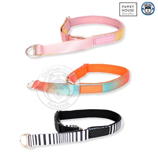 ปลอกคอสุนัข Comfort Collar - Pawky House จากตัวแทนจำหน่ายอย่างเป็นทางการในประเทศไทย