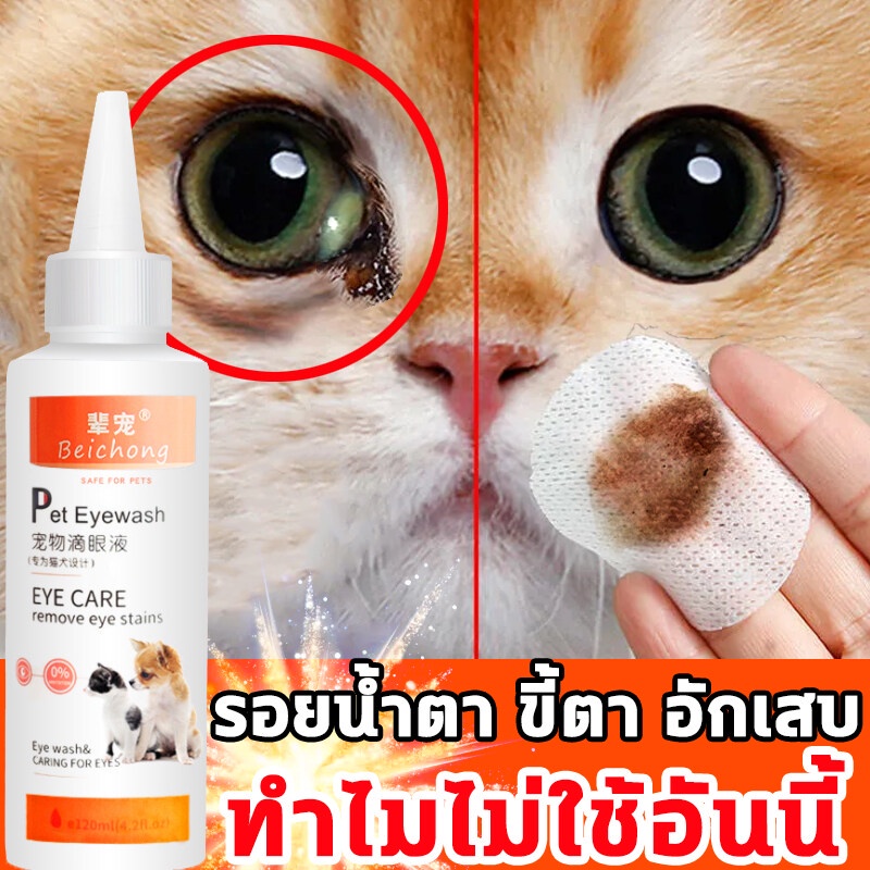 ช้อป ตาแมวอักเสบ ราคาสุดคุ้ม ได้ง่าย ๆ | Shopee Thailand